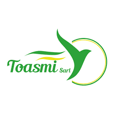 Toasmi sarl Logo